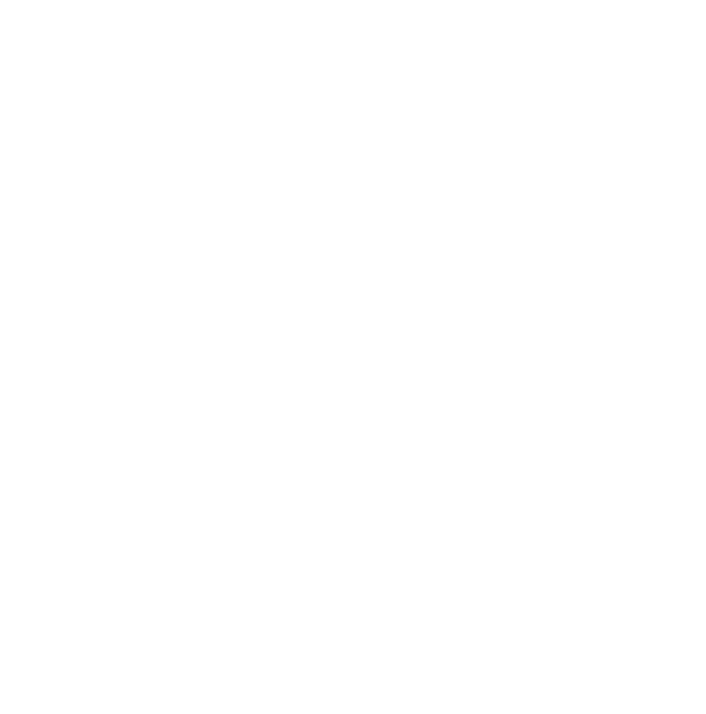 EldinR Logo White